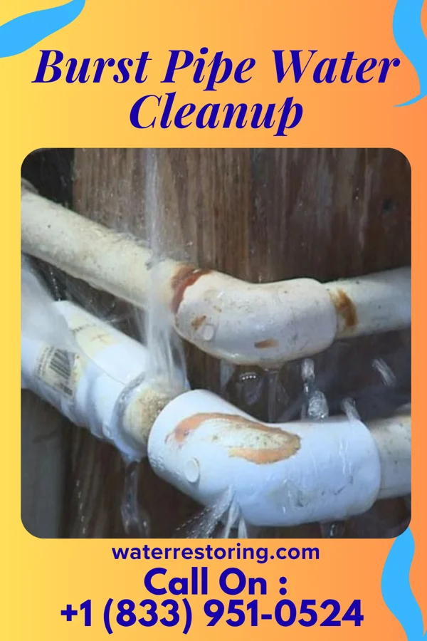 Burst Pipe Water Cleanup in Middleburg, PA