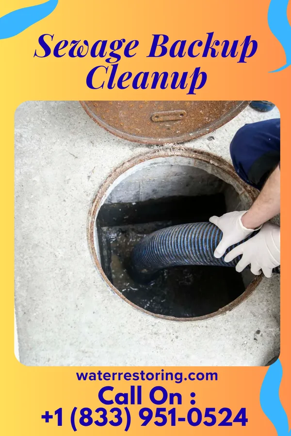 Sewage Backup Cleanup in Middleburg, PA